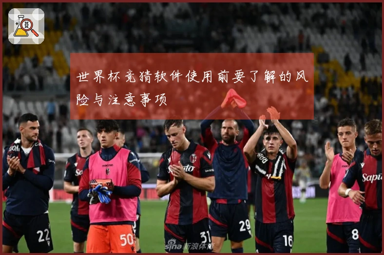 世界杯竞猜软件使用前要了解的风险与注意事项