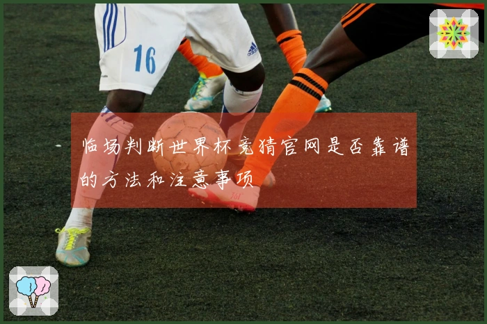 临场判断世界杯竞猜官网是否靠谱的方法和注意事项